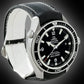 Omega Seamaster Planet Ocean