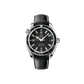 Omega Seamaster Planet Ocean